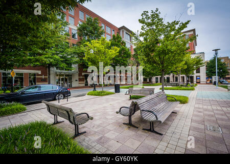 Bänke und Gebäude in der John Carlyle Square, der in Alexandria, Virginia. Stockfoto