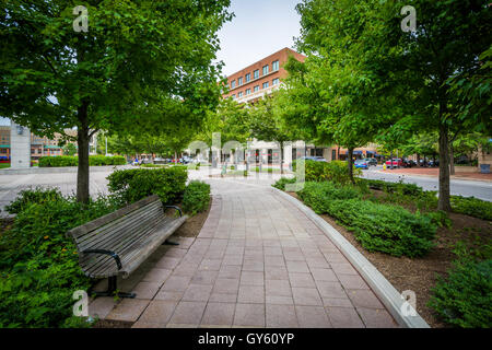 Bank und Gehweg an John Carlyle Square, der in Alexandria, Virginia. Stockfoto