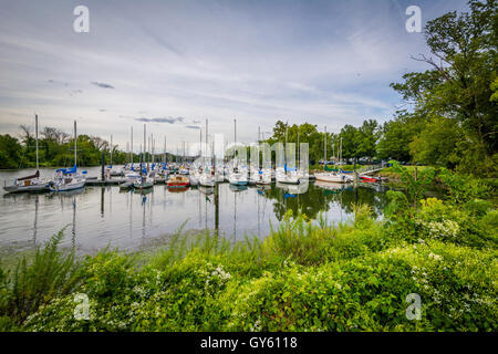 Boote am Washington Segeln Yachthafen, entlang der George Washington Memorial Parkway in Alexandria, Virginia. Stockfoto