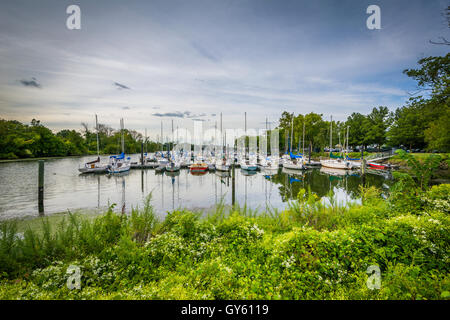 Boote am Washington Segeln Yachthafen, entlang der George Washington Memorial Parkway in Alexandria, Virginia. Stockfoto