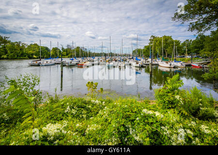 Boote am Washington Segeln Yachthafen, entlang der George Washington Memorial Parkway in Alexandria, Virginia. Stockfoto