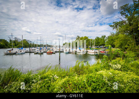 Boote am Washington Segeln Yachthafen, entlang der George Washington Memorial Parkway in Alexandria, Virginia. Stockfoto