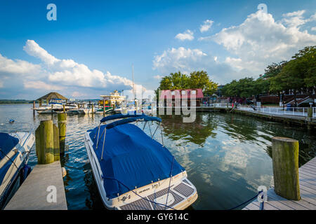 Docks und Boote am Potomac River-Ufer, in Alexandria, Virginia. Stockfoto