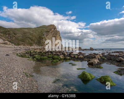 Landschaft, die Darstellung der Jurassic Felsenküste am Mann O'War Beach, St. Oswald Bucht an einem feinen Sommertag. Stockfoto