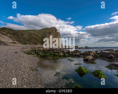 Landschaft, die Darstellung der Felsenküste Jurassic Mann O'War Beach, St. Oswald Bucht an einem feinen Sommertag. Stockfoto