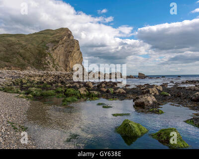 Landschaft, die Darstellung der Felsenküste Jurassic Mann O'War Beach, St. Oswald Bucht an einem feinen Sommertag. Stockfoto