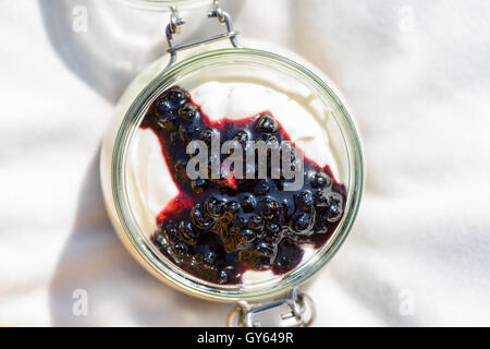 Glas ohne Backen-Käsekuchen mit Blaubeeren Marmelade Stockfoto