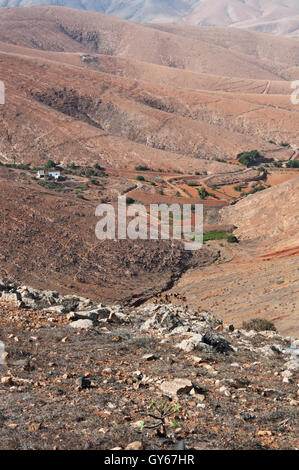 Fuerteventura: der Blick vom Mirador Corrales de Guize Stockfoto