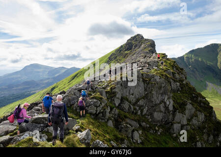 Wanderer, Klettern über die Felsen Mynydd Drws-y-Coed auf Nantlle Grat wandern in Berge von Snowdonia-Nationalpark. North Wales, UK Stockfoto