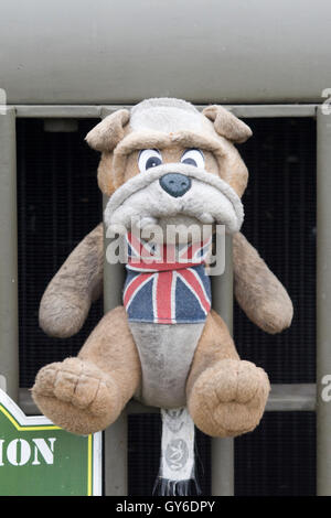 Britische Bulldogge Spielzeug angebracht, um auf eine britische Armee Jeep grill Stockfoto