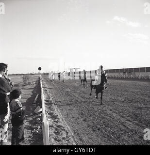 1950er-Jahren, historische, Pferderennen auf einer sandigen Strecke, Saudi Arabien. Stockfoto