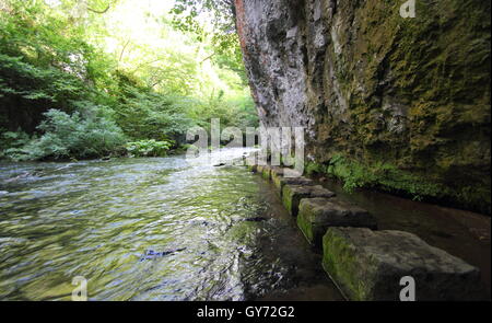 Trittsteine auf dem Fluss Wye in Chee Dale, einer spektakulären Kalkstein-Schlucht in den Peak District National Park, England, UK Stockfoto