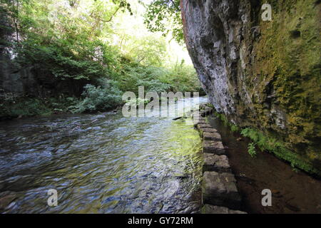 Trittsteine entlang des Flusses Wye in Chee Dale, eine spektakuläre Kalkstein Schlucht, Peak District National Park, Derbyshire, UK Stockfoto