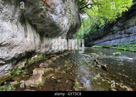 Trittsteine auf dem Fluss Wye in Chee Dale, einer spektakulären Kalkstein-Schlucht in den Peak District National Park, England, UK Stockfoto