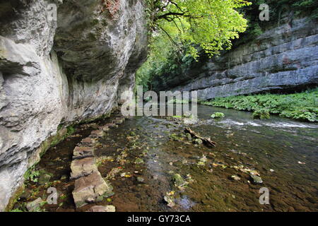 Trittsteine auf dem Fluss Wye in Chee Dale, einer spektakulären Kalkstein-Schlucht in den Peak District National Park, England, UK Stockfoto