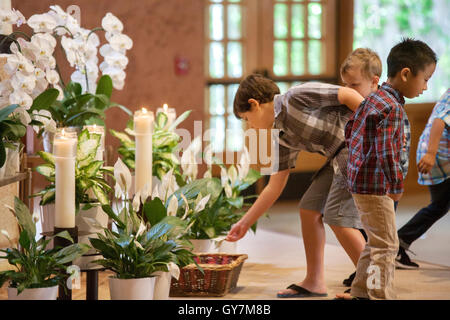 Gemischtrassige jungen fallen Geldspenden in den Fangkorb während der Messe in einer Laguna Niguel, CA, katholische Kirche. Beachten Sie Kerzen und Blumen. Stockfoto