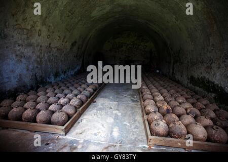 Omoa. 16. Sep, 2016. Foto aufgenommen am 16. September 2016 zeigt ein ganzes Arsenal von Kanonenkugeln in der Festung von San Fernando in Omoa, Abteilung von Cortes, Honduras. Gelegen an der Karibik Küste von Honduras, die Festung von San Fernando ist ein aus dem 18. Jahrhundert spanische Festung gebaut, um die Küste vor Piraterie zu schützen und ist heute eine touristische Attraktion. Bildnachweis: Rafael Ochoa/Xinhua/Alamy Live-Nachrichten Stockfoto