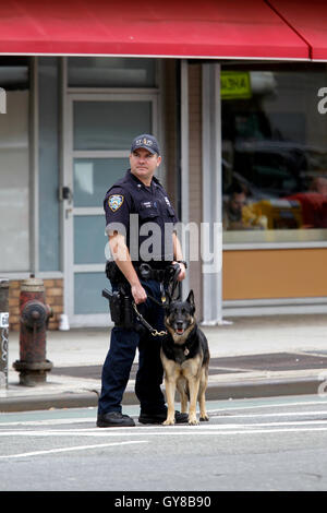 New York, Vereinigte Staaten von Amerika. 18. September 2016. Transit Polizei mit Hund Wache der Gegend in der Nähe der u-Bahn-Linie E Zug auf der 8th Avenue in der Nähe von 23rd Street, zwei Blocks westlich von gestern Abend Explosion im Abschnitt Chelsea von Manhattan in New York City.  29 Menschen wurden bei der Explosion verletzt, die von Beamten als vorsätzliche beschrieben wurde. Bildnachweis: Adam Stoltman/Alamy Live-Nachrichten Stockfoto