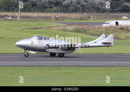 LN-DHZ, eine de Havilland Vampire T55 von der Royal Norwegian Air Force historische Squadron, kommt am Flughafen Prestwick. Stockfoto