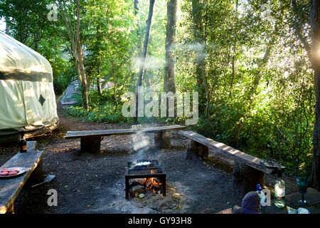 Lagerfeuer mit Rahmen, umgeben von 3 Holzbänke und eine Jurte Licht strömt durch Waldbäume, Zwiebeln Cooki Kochen Stockfoto