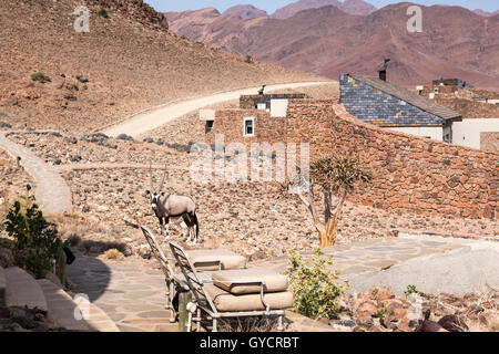 Oryx-Antilopen in Sossusvlei Desert Lodge in Namib-Naukluft-Nationalpark, Namibia Stockfoto