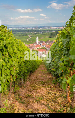 Katzenthal Dorf und die umliegenden Weinberge an der Weinstraße im Elsass/Frankreich Stockfoto