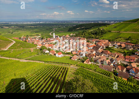 Katzenthal Dorf und die umliegenden Weinberge an der Weinstraße im Elsass/Frankreich Stockfoto