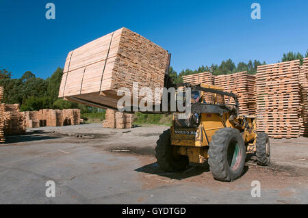 Holzindustrie, Morpeguite, Muxia, La Coruña Provinz, Region Galicien, Spanien, Europa Stockfoto