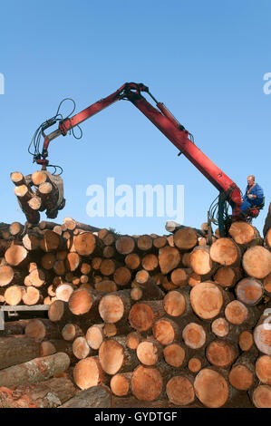 Holzindustrie, Morpeguite, Muxia, La Coruña Provinz, Region Galicien, Spanien, Europa Stockfoto