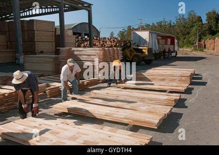 Holzindustrie, Morpeguite, Muxia, La Coruña Provinz, Region Galicien, Spanien, Europa Stockfoto