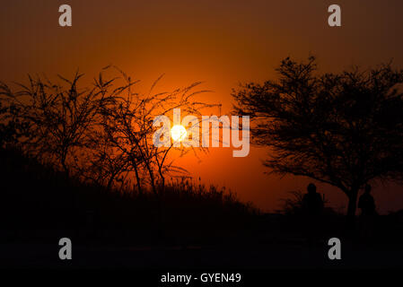 Farbenprächtigen Sonnenuntergang im afrikanischen Busch. Akazie Bäume Silhouette im Gegenlicht. Orange-Rot klaren Himmel. Stockfoto