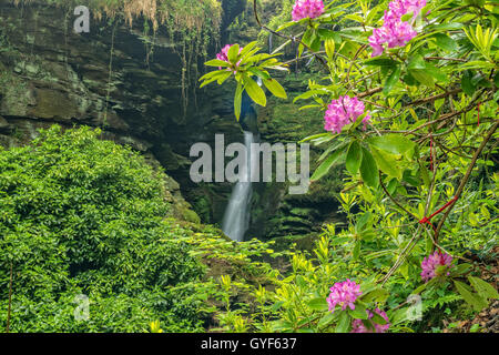 St Nectans Glen fällt Stockfoto