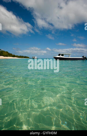 FOA-Insel. Haapai-Inseln, Tonga. Polynesien Stockfoto