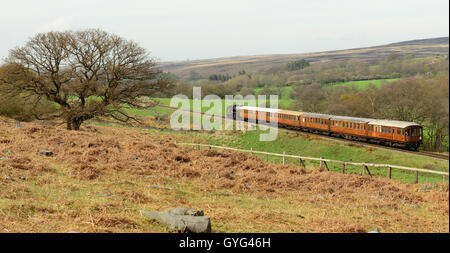 Dampfzug auf der North Yorkshire Moors Railway vorbei an Moorgates, in der Nähe von Goathland. Stockfoto