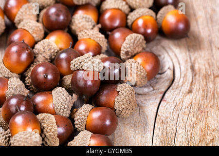 Nahaufnahme der Herbst Eichel Saisondekorationen auf rustikalen Holz. Selektiven Fokus auf einzelne Eichel auf Haufen. Stockfoto