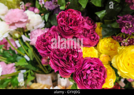 Seidenblume Display Stockfoto