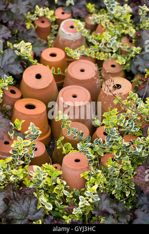 Upside-down Terracotta Blumentöpfe Stockfoto