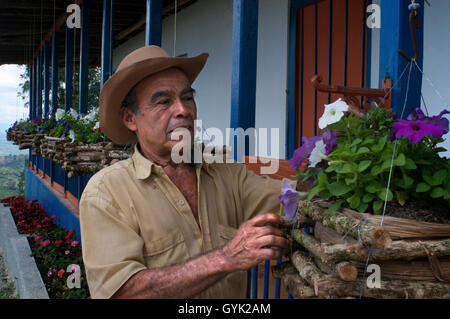 Mitarbeiter der Kaffee-Plantagen im Hacienda San Alberto. Kaffee-Plantagen in der Nähe der Stadt Buenavista. Quindio, Kolumbien. Kolumbien Stockfoto