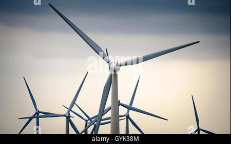 Windkraftanlagen auf der schwarzen Gesetz Windpark, South Lanarkshire, Schottland Stockfoto