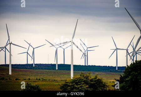 Windkraftanlagen auf der schwarzen Gesetz Windpark, South Lanarkshire, Schottland Stockfoto