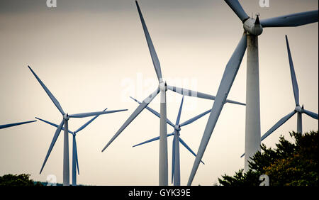 Windkraftanlagen auf der schwarzen Gesetz Windpark, South Lanarkshire, Schottland Stockfoto