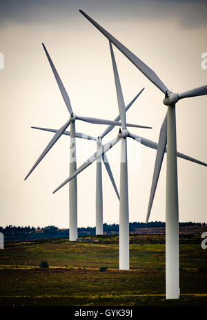 Windkraftanlagen auf der schwarzen Gesetz Windpark, South Lanarkshire, Schottland Stockfoto