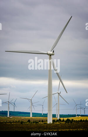 Windkraftanlagen auf der schwarzen Gesetz Windpark, South Lanarkshire, Schottland Stockfoto