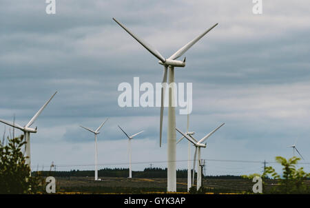 Windkraftanlagen auf der schwarzen Gesetz Windpark, South Lanarkshire, Schottland Stockfoto