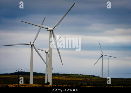 Windkraftanlagen auf der schwarzen Gesetz Windpark, South Lanarkshire, Schottland Stockfoto