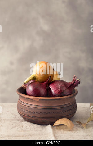 Schüssel mit gelben und roten Zwiebeln Stockfoto