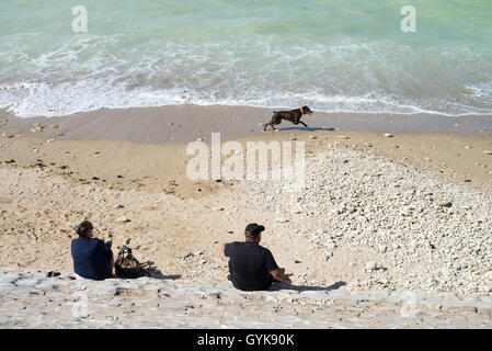 Strand in der Nähe von Phare des Baleines Leuchtturm, Ile de Ré, Frankreich, EU, Europa Stockfoto