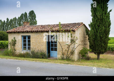 Weinberg im Medoc, Gironde, Frankreich, Médoc Cru Bourgeois Superieur, Europa Stockfoto