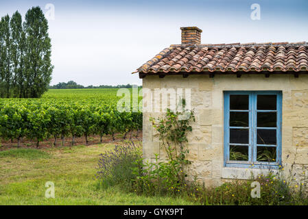 Weinberg im Medoc, Gironde, Frankreich, Médoc Cru Bourgeois Superieur, Europa Stockfoto