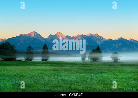 Wiesen am Bannwaldsee mit Nebel bei Sonnenaufgang, in der bachground das Tannheimer Berge, Deutschland, Bayern, Oberbayern, Oberbayern Stockfoto